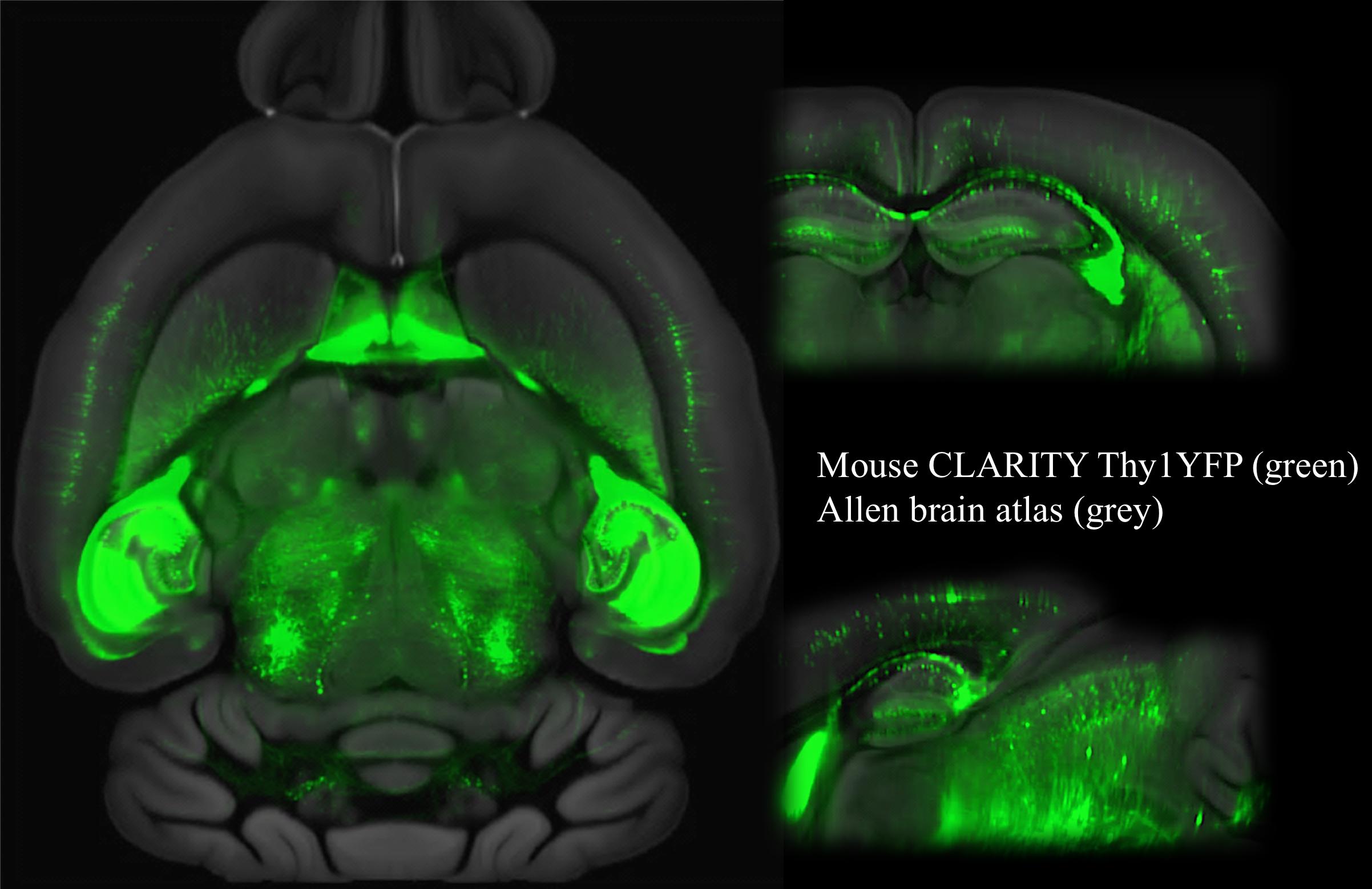 clarity_registration_example