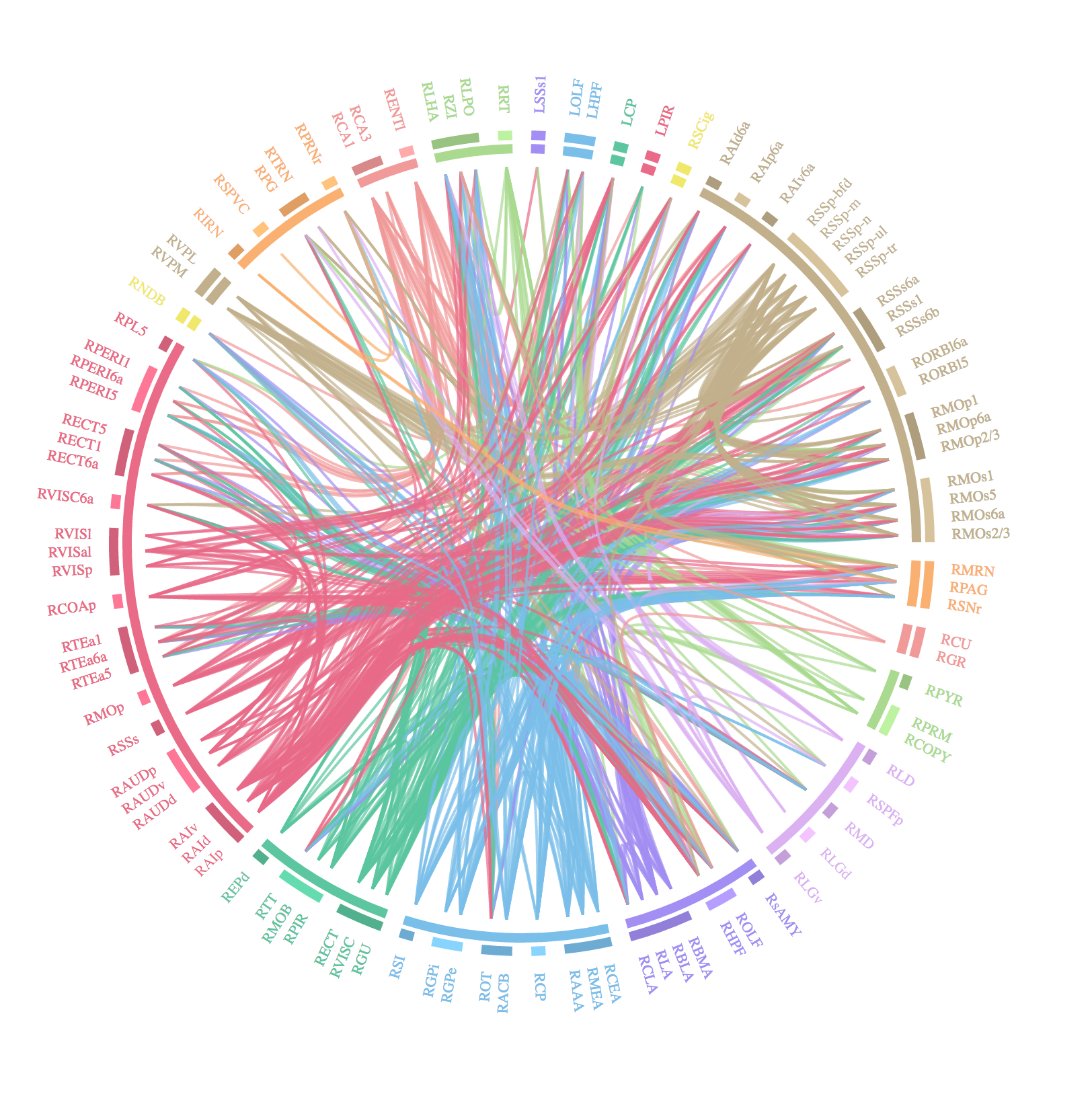 connectogram_grouped_by_parent_id_50_labels